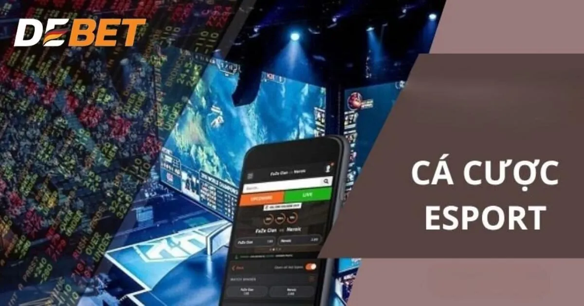 Tại sao nên lựa chọn tham gia cá cược Esports Debet?